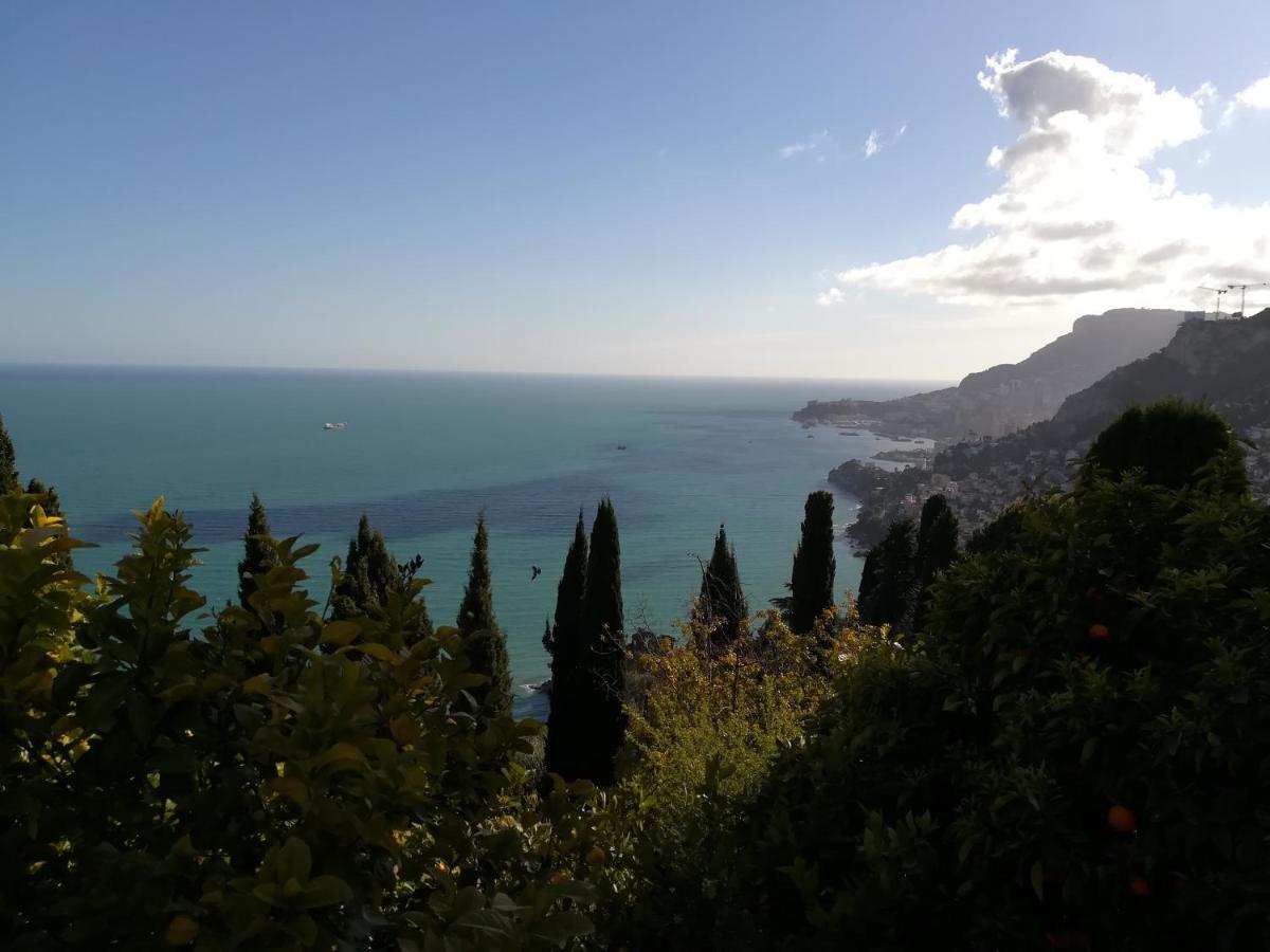 Monaco'S Cottage & Spa روكوبرُن كاب مارتي المظهر الخارجي الصورة